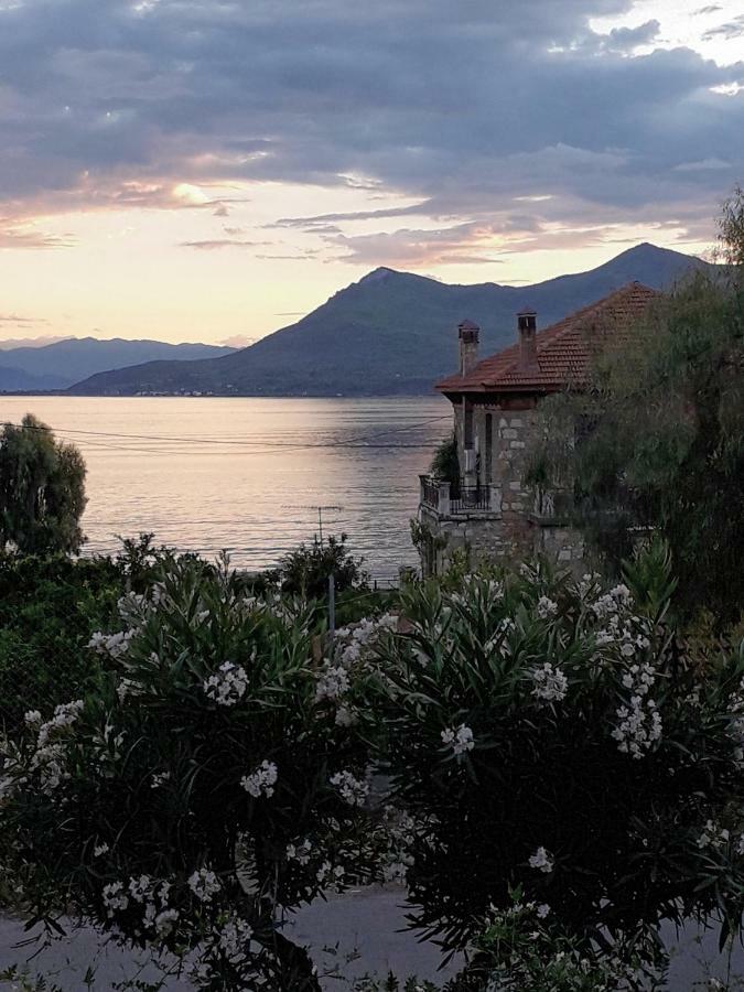 Σόιλε Γεωργία Διαμέρισμα Λουτρά Αιδηψού Εξωτερικό φωτογραφία
